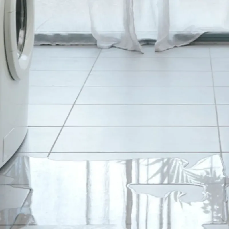 Appliance Leak Cleanup in Union County, IA