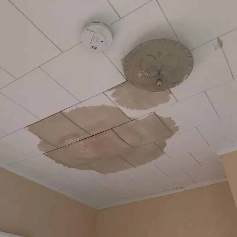 Ceiling Water Damage Repair in Union County, IA
