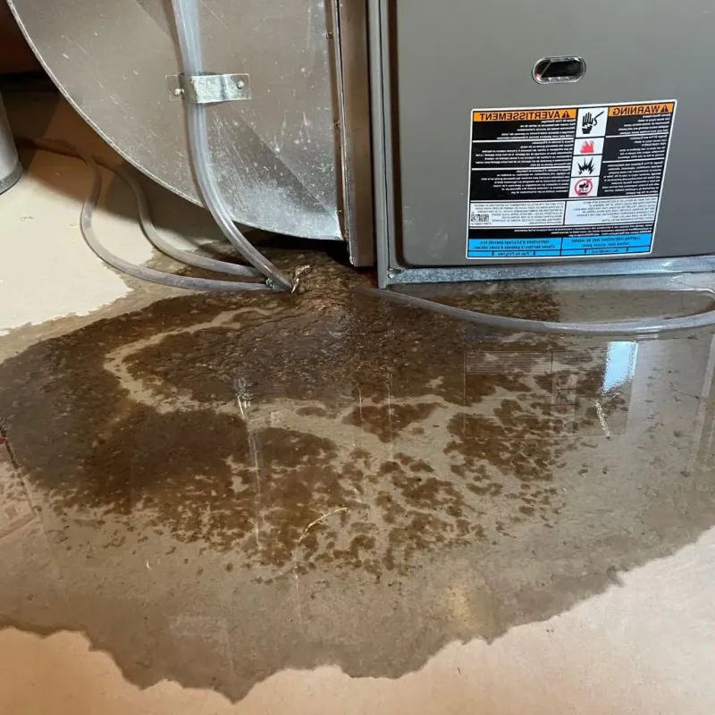 Pipe Burst and Leak Restoration in Union County, IA