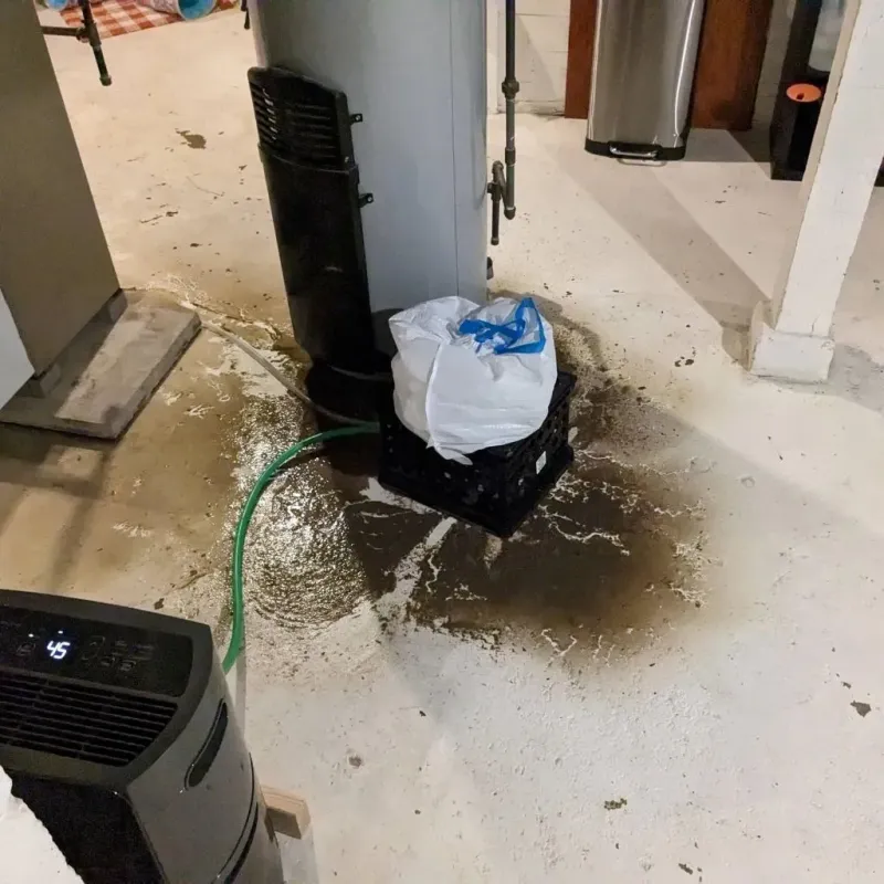 Sewage Backup Cleanup Service in Union County, IA